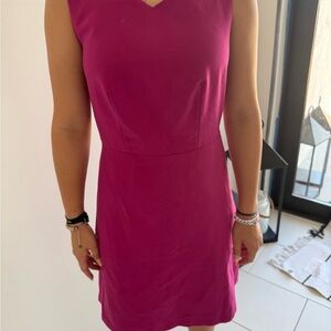 The Limited Fuchsia Mini Dress